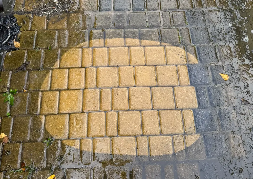 usuwanie mchu z kostki brukowej